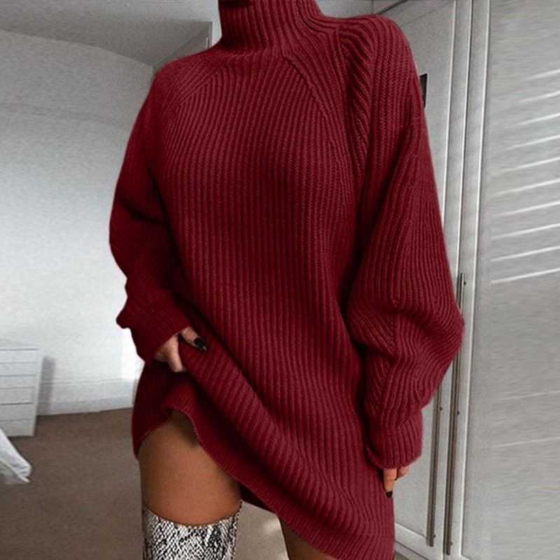 Solid Turtleneck Long Sweater Winter Warm Women Sweater Dress SimplyOnlineShopping